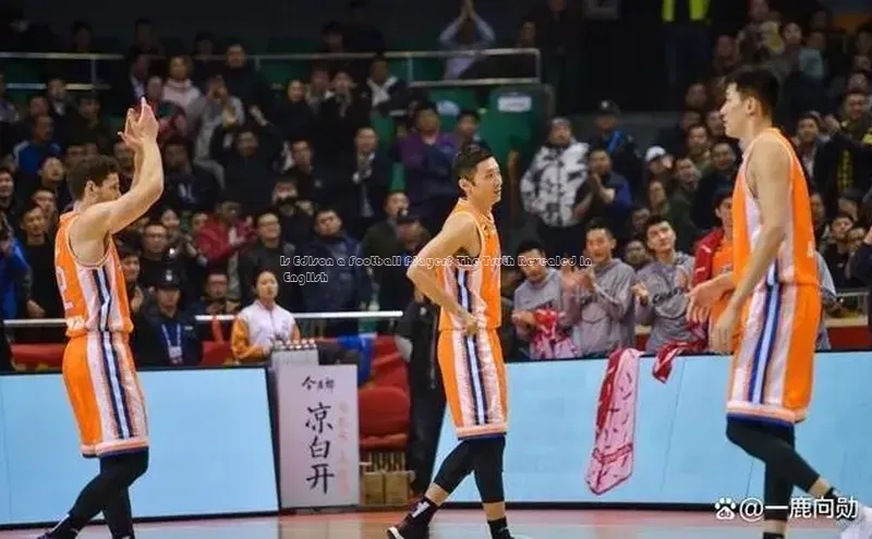 意昂体育4阿里尔公司