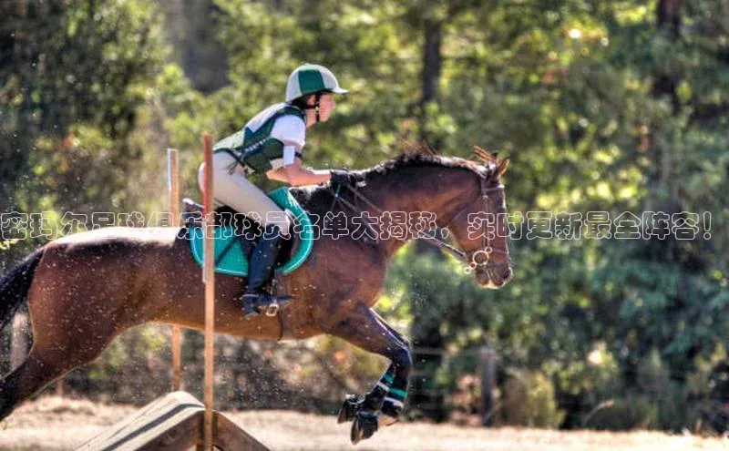 意昂4招商百度安全社区