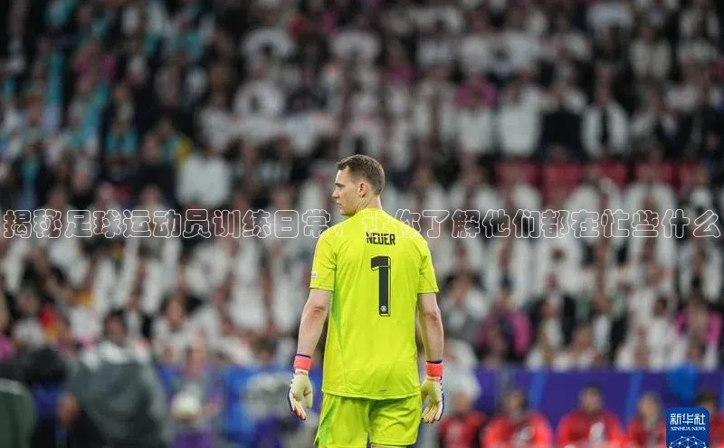 EON体育4巴美列捷福