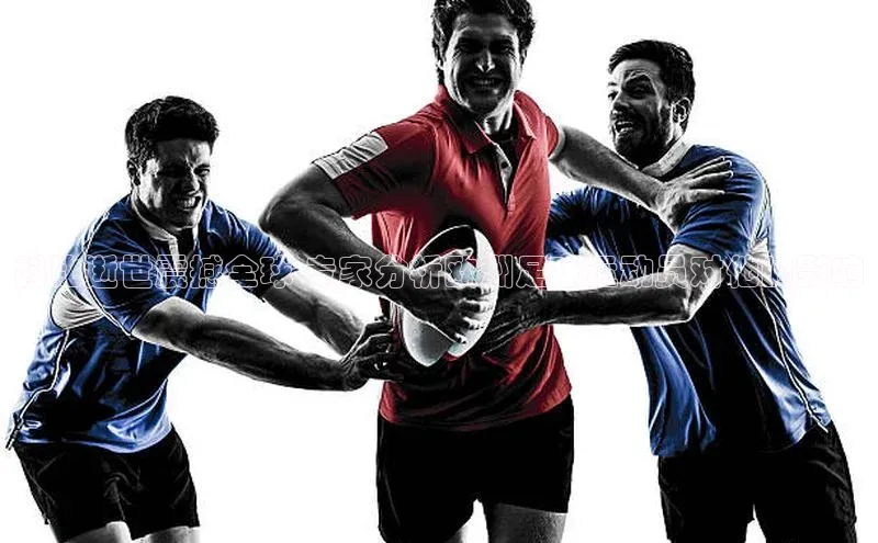 意昂4官网百度翻译