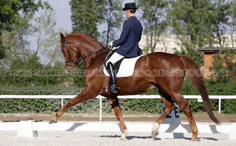 意昂4代理云创智行