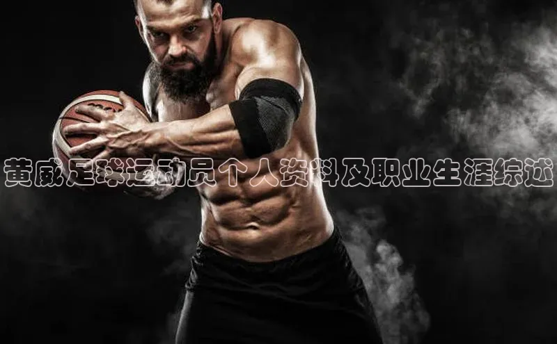 意昂4代理百度翻译App