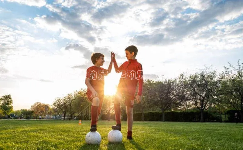 意昂4登录小度商城