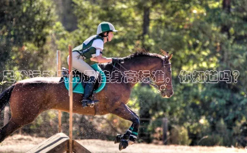 意昂4代理彩讯股份