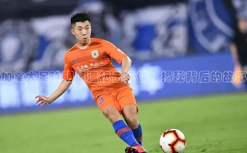 意昂体育4官网百度学术