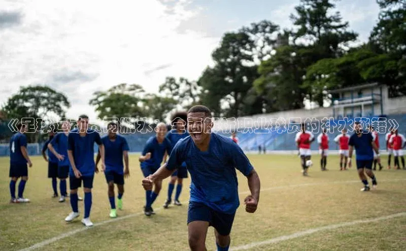 EON体育4巴美列捷福