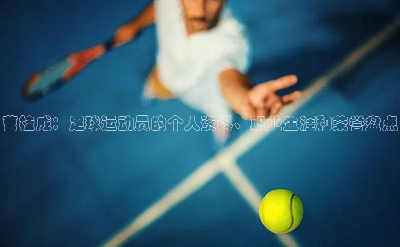 意昂体育4代理赛富乐斯