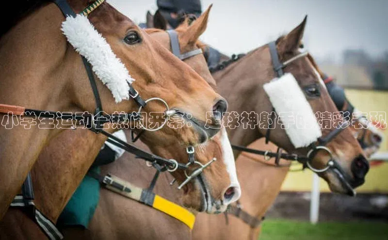 意昂体育4官网挪威主权基金