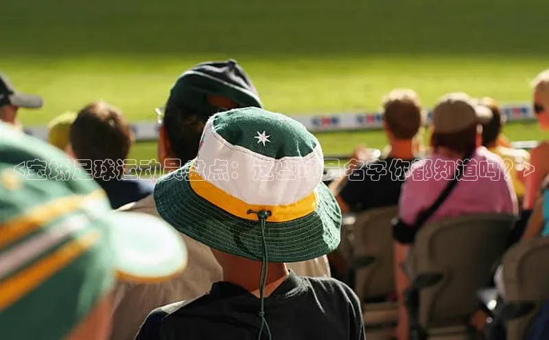 意昂4登录梯哥哥科技